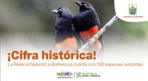 ¡Cifra histórica! La Reserva Natural La Romera ya cuenta con 392 especies avistadas