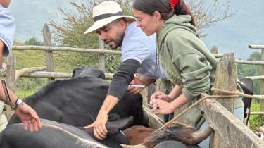 Jornadas de Bienestar Animal para Grandes Especies: Un Impulso al Agro en Sabaneta