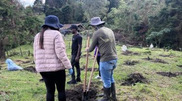 Sabaneta respira mejor: 300 nuevos árboles fortalecen el pulmón verde de la Reserva Natural La Romera.