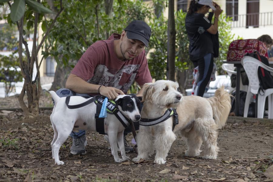 Sabaneta, protege a sus animales de compaa contra la rabia.